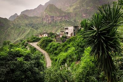 © Ulrich Hollmann / Getty Images - Paul Valley - Santo Antao - Cap-Vert Paul Valley - Santo Antao - Cap-Vert