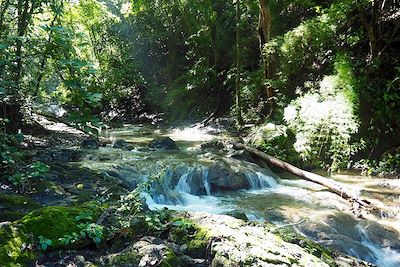 © Thomas Callens - Rivière Vela de la novia au pied du Cerro Escondido - Réserve Karen Mogensen - Péninsule de Nicoya - Costa Rica Rivière Vela de la novia au pied du Cerro Escondido - Réserve Karen Mogensen - Péninsule de Nicoya - Costa Rica
