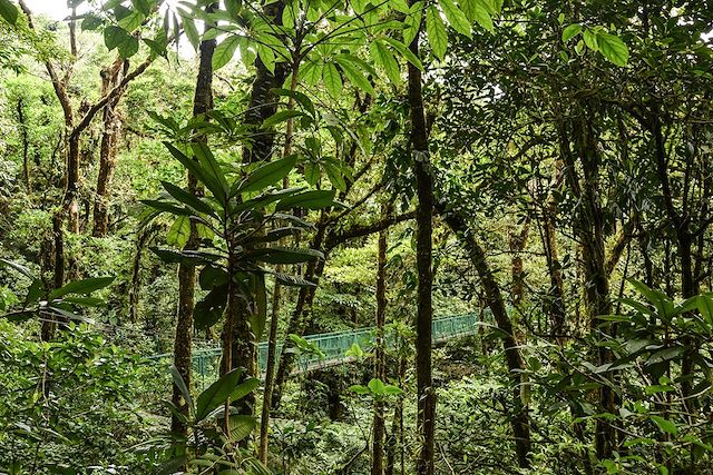 Voyage L'écotourisme de Boca Tapada à Nicoya