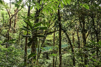 L'écotourisme de Boca Tapada à Nicoya