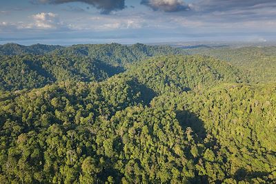 © Christophe Migeon - Parc national du Corcovado - Costa Rica Parc national du Corcovado - Costa Rica