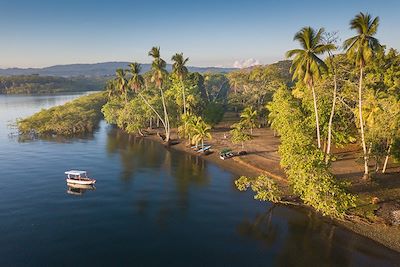 Mangrove dans le Golfo Dulce - Costa Rica