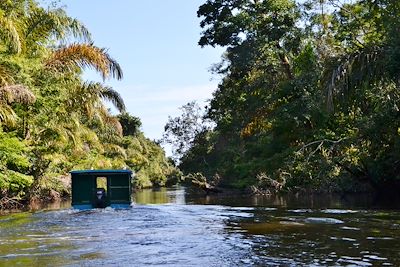 © Marinette Villière - Balade en bateau dans les canaux de Tortuguero - Costa Rica Balade en bateau dans les canaux de Tortuguero - Costa Rica