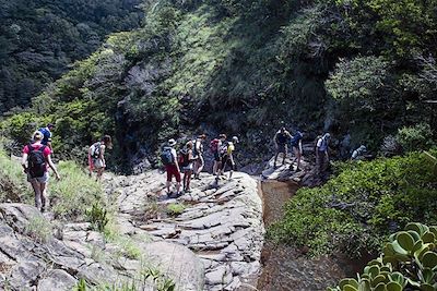 Randonnée sur les flancs du volcan Rincón de la Vieja - Costa Rica