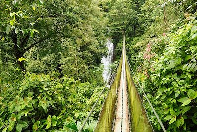 Pont suspendu à Los Campesinos - Costa Rica