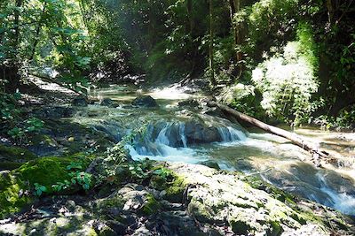 Rivière Vela de la novia au pied du Cerro Escondido - Réserve Karen Mogensen - Péninsule de Nicoya - Costa Rica