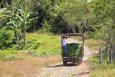 Voyage Rencontres et immersion costaricaines 3