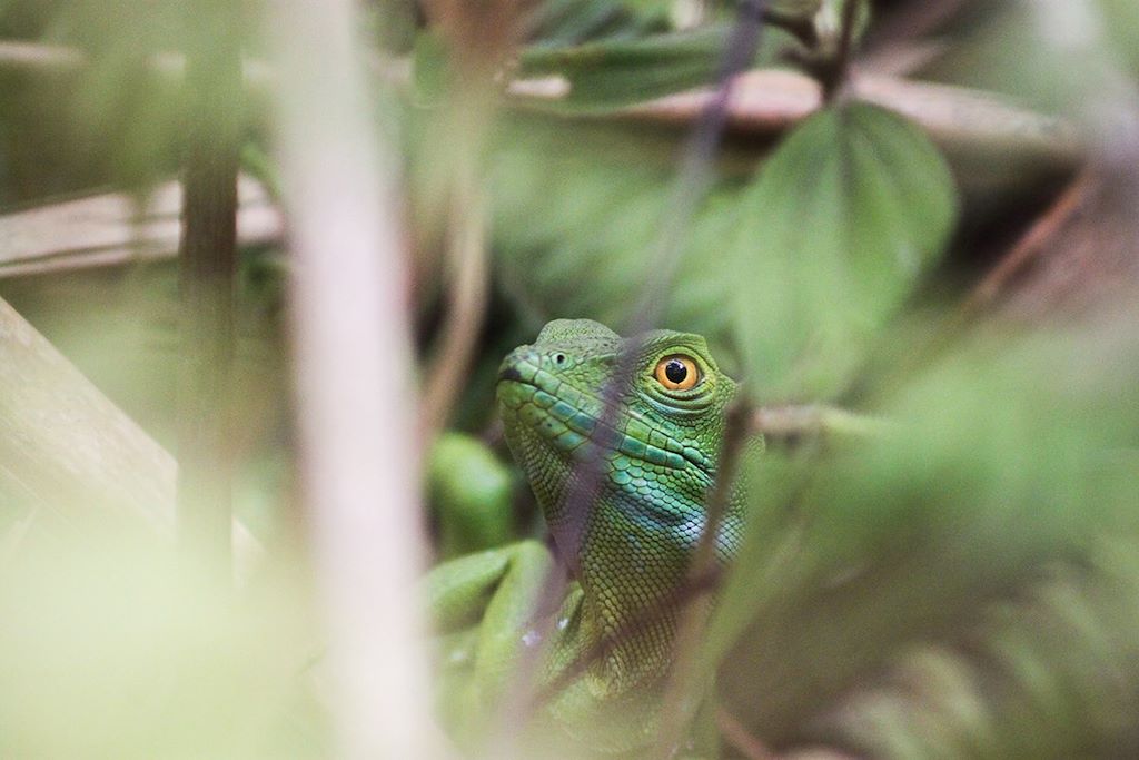 Rencontres et immersion costaricaines