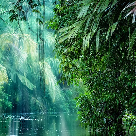 Safari exotique au Costa Rica