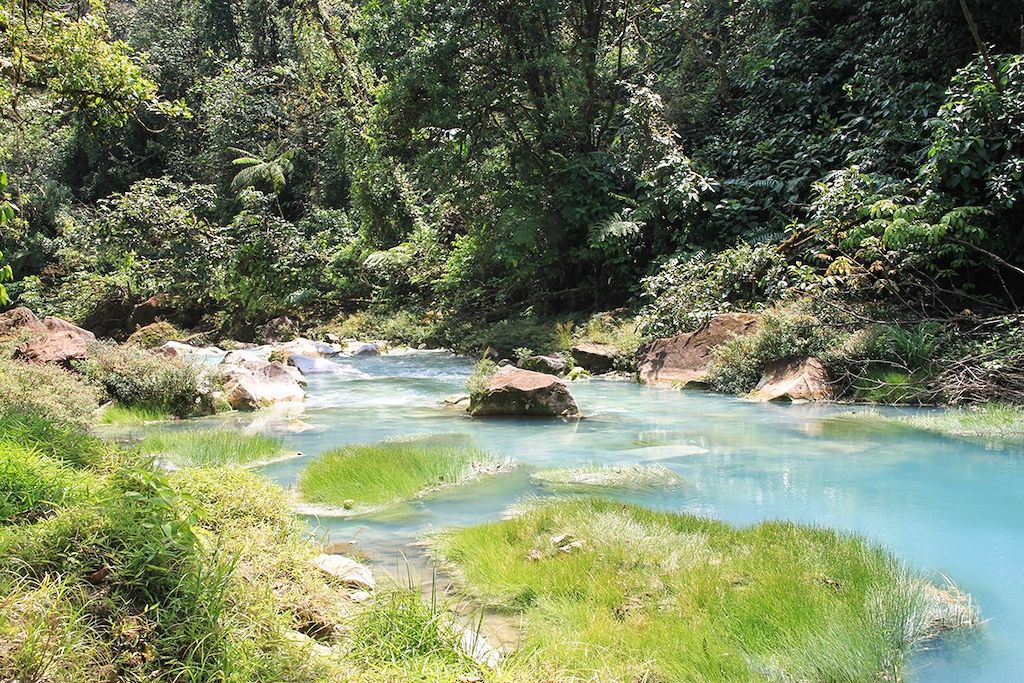 Voyage Safari exotique au Costa Rica 3