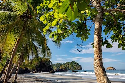 Plage - Parc national de Manuel Antonio - Costa Rica