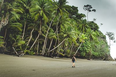 Randonnée - Parc national de Corcovado - Costa Rica 