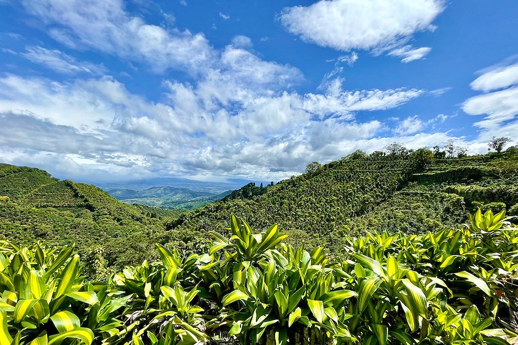 Voyage Trekking de Los Quetzales au Corcovado  3