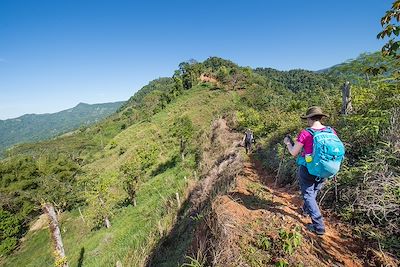 Parc national de Los Quetzales - Costa Rica