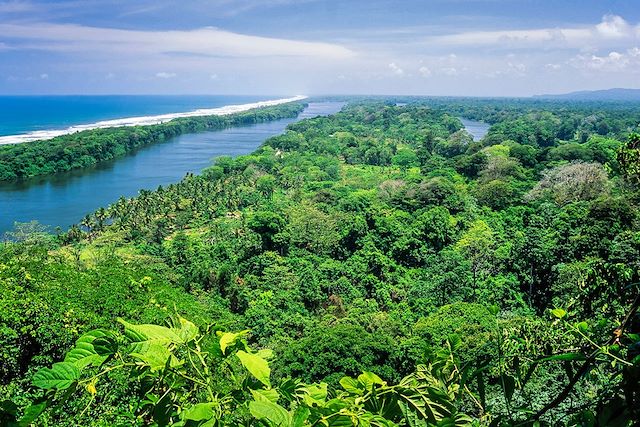 Voyage De Tortuguero à Osa, une aventure en famille