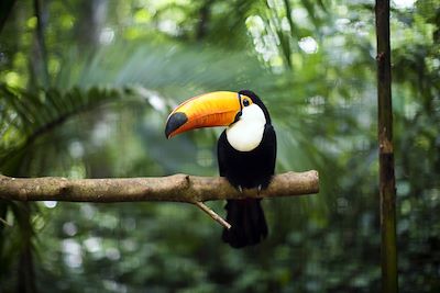 Randonnée Costa Rica