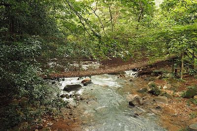 Secteur Las Pailas - Rincon de la Vieja - Costa Rica