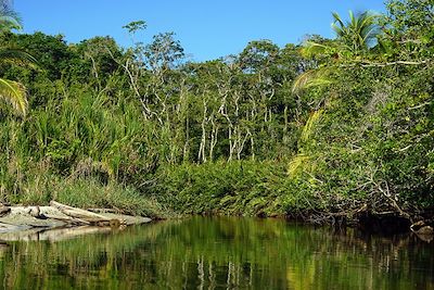 Parc national - Cahuita - Costa Rica