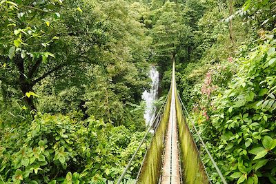 Pont suspendu à Los Campesinos - Costa Rica