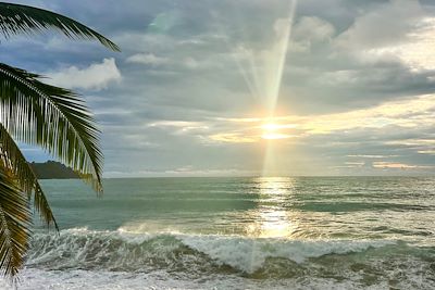 © Océane Martinez - Coucher de soleil au Corcovado - Costa Rica Coucher de soleil au Corcovado - Costa Rica