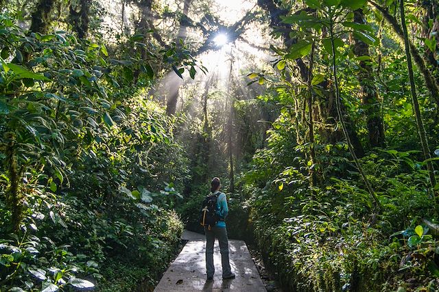 Voyage La nature à l'état pur