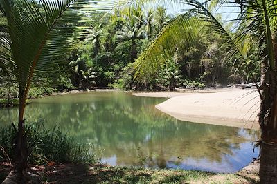 © Mathilde Salmon - Rio Claro sur la péninsule de Osa dans le parc Corcovado - Costa Rica Rio Claro sur la péninsule de Osa dans le parc Corcovado - Costa Rica