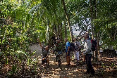 observations dans le parc national du Corcovado - Costa Rica