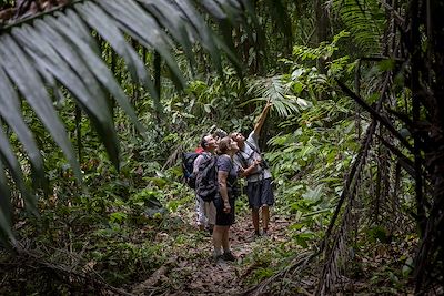 Observation animalière dans le parc national du Corcovado  