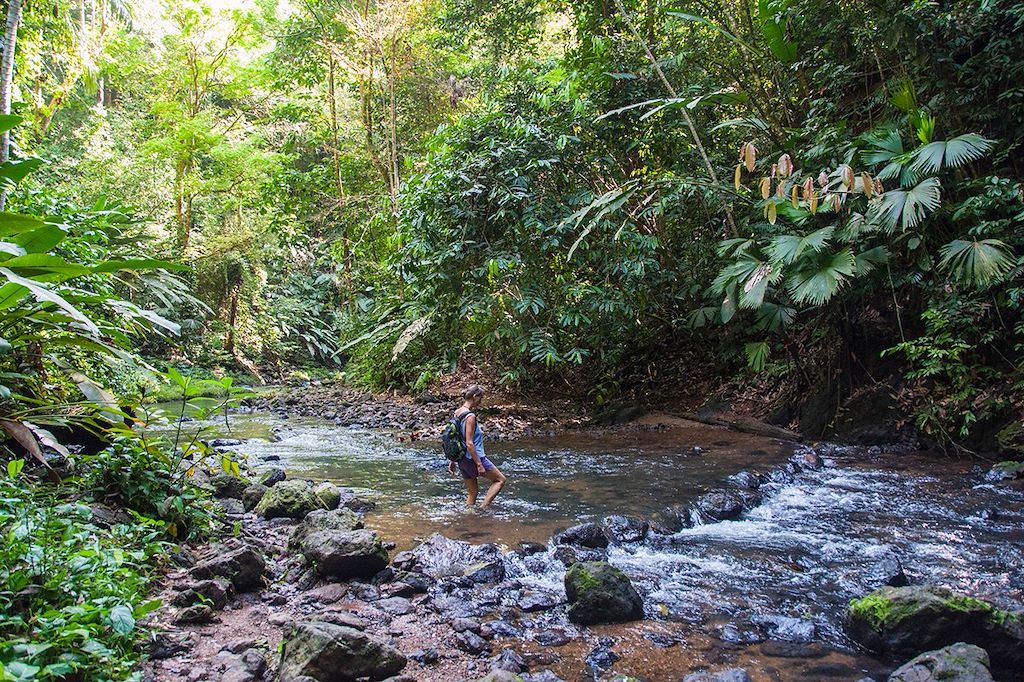 Trek Corcovado