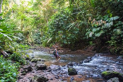 Voyage Corcovado