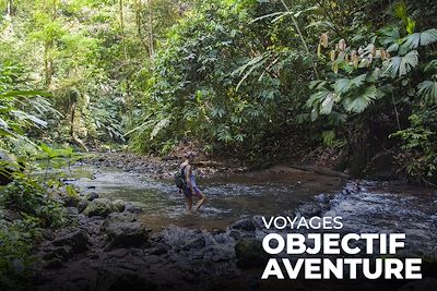 Randonnée - Parc Corcovado - Costa Rica