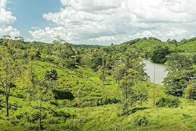 © phototrip / Getty Images - Boca Tapada - Rio San Carlos - Costa Rica Boca Tapada - Rio San Carlos - Costa Rica