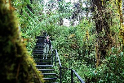 © Jakub / Adobe Stock - Parc national Los Quetzales - Costa Rica Parc national Los Quetzales - Costa Rica
