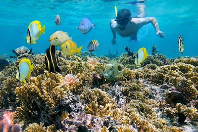 © Damocean / iStock - Snorkeling - Costa Rica Snorkeling - Costa Rica
