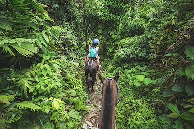 Pura familia ! Forêts, volcans et plages de Nicoya