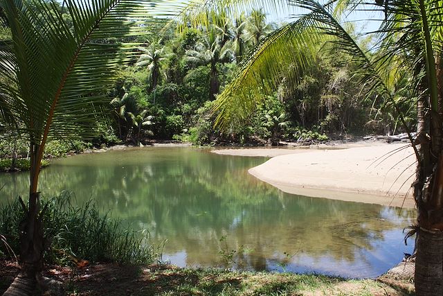Voyage De Tortuguero à Osa, une aventure en famille