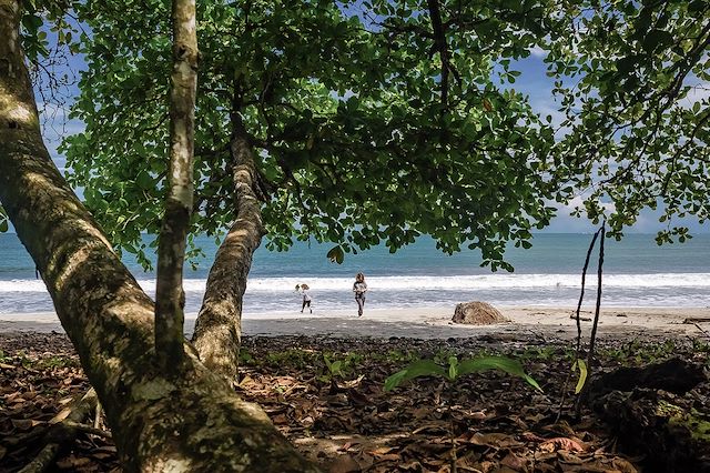 Voyage De Tortuguero à Osa, une aventure en famille