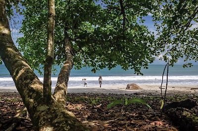 De Tortuguero à Osa, une aventure en famille