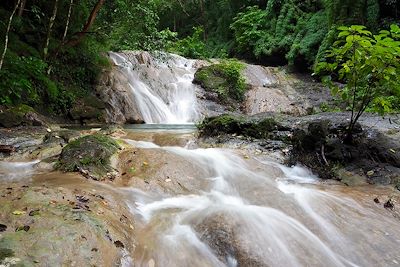 Rivière Vela de la novia au pied du Cerro Escondido - Réserve Karen Mogensen - Péninsule de Nicoya - Costa Rica