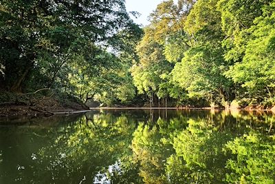 Boca Tapada - Rio San Carlos - Costa Rica