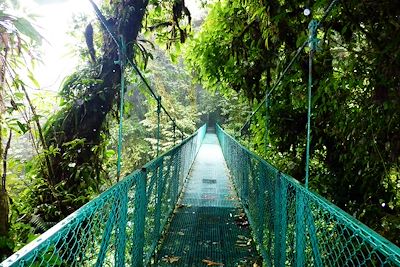 © Indigo France - Pont suspendu - Monteverde - Costa Rica Pont suspendu - Monteverde - Costa Rica