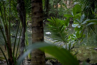 © Julie Ansiau pour Terres d'aventure - Parque nacional de Cahuita Parque nacional de Cahuita