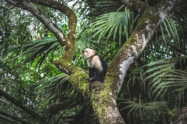 Voyage La nature à l'état pur 