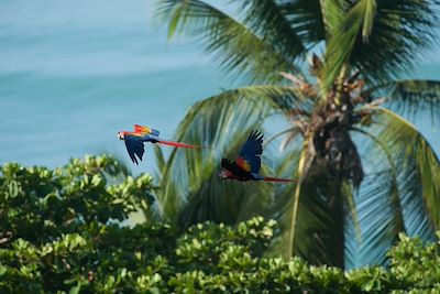 Randonnée Costa Rica