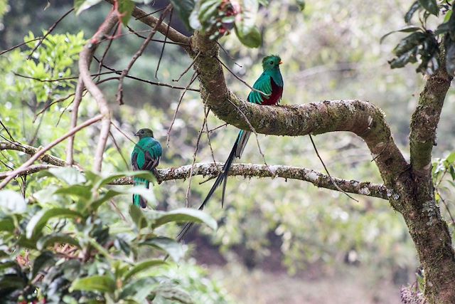 Voyage ¡ Hola Costa Rica !