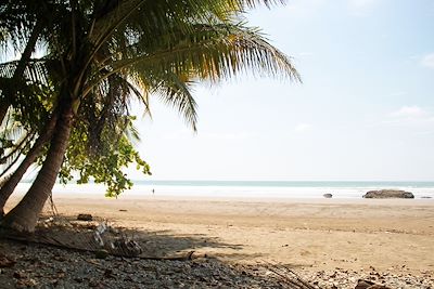 Plage du Pacifique - Costa Rica