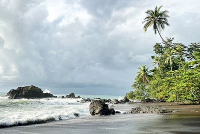 Parc du Corcovado - Costa Rica