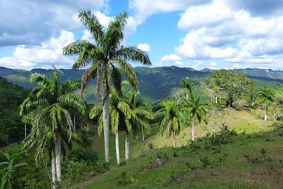© Jean Tardif - Le Parc Naturel de Topes de Collantes - Cuba Le Parc Naturel de Topes de Collantes - Cuba