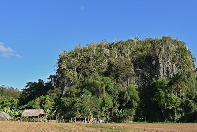 © Thierry Danjou - Vallée de Vinales - Cuba Vallée de Vinales - Cuba