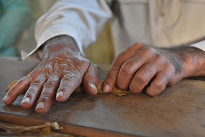 Fabrication de cigares - Vallée de Vinales - Cuba